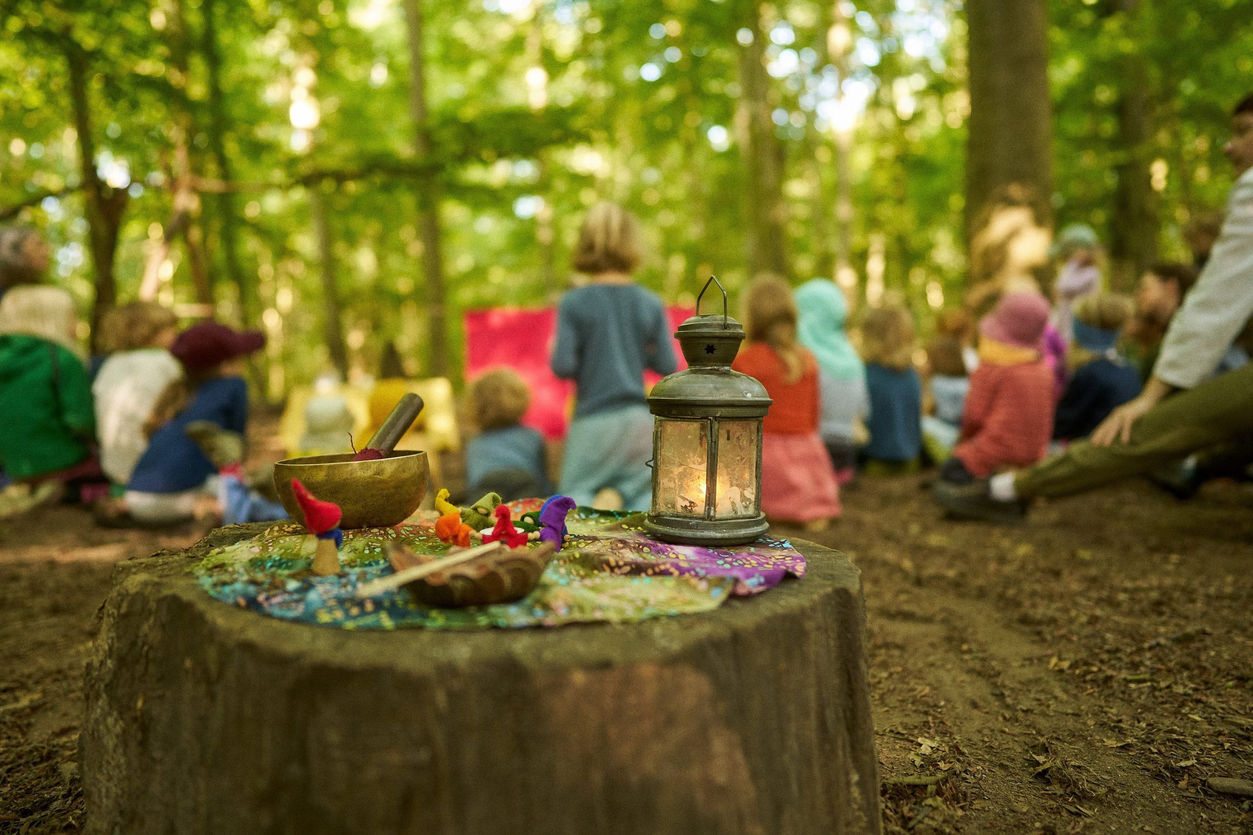 Ankommen im Wald
